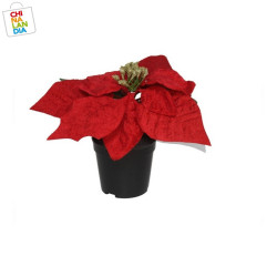 MACETA POINSETIA ROJA 22X16 CM 1.30€ | CHINALANDIA