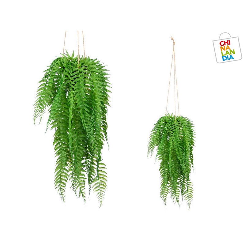 PLANTA HELECHO COLGAR GRD 6,95€ | CHINALANDIA