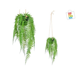 PLANTA HELECHO COLGAR MED 4,95€ | CHINALANDIA