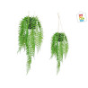 PLANTA HELECHO COLGAR PEQ 2,95€ | CHINALANDIA