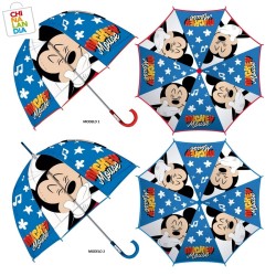 PARAGUA EVA MICKEY BURBUJA 2S