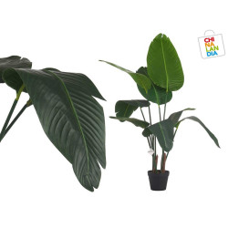 PLANTA CON MACETA ESTERLICIA PEQUEÑA 120CM 54,00€ | CHINALANDIA