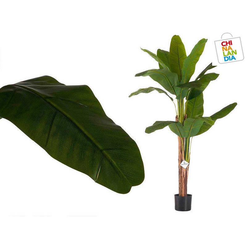 PLANTA CON MACETA BANANERA GRANDE 15 65,00€ | CHINALANDIA