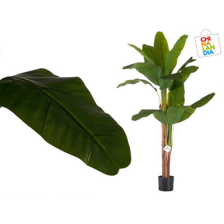 PLANTA CON MACETA BANANERA GRANDE 15 65,00€ | CHINALANDIA