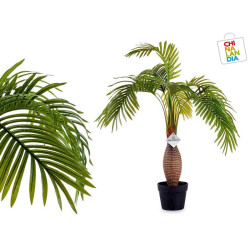 PLANTA CON MACETA PALMERA TALLO ANCHO 41,95€ | CHINALANDIA